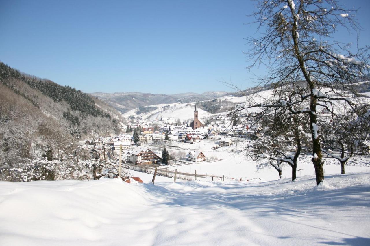 Ferienwohnung Mit Komfort Oberharmersbach Exterior foto