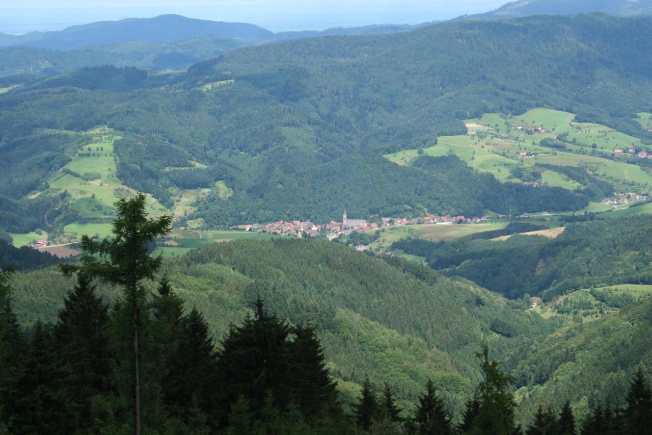 Ferienwohnung Mit Komfort Oberharmersbach Exterior foto